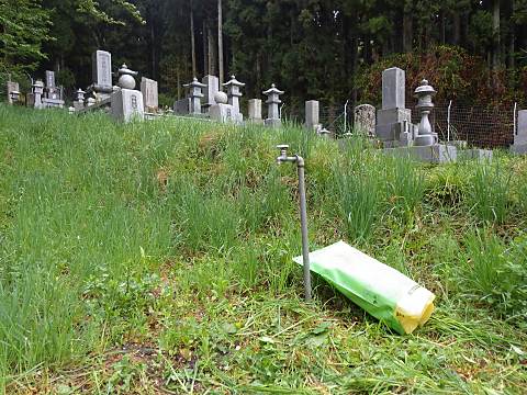 �琬�L��̗����オ��